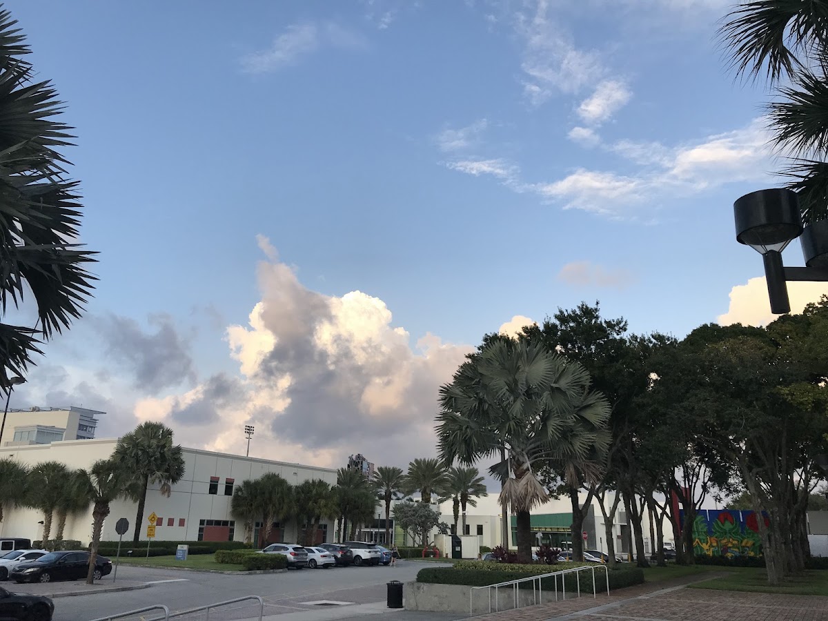 Florida Atlantic University photo 5