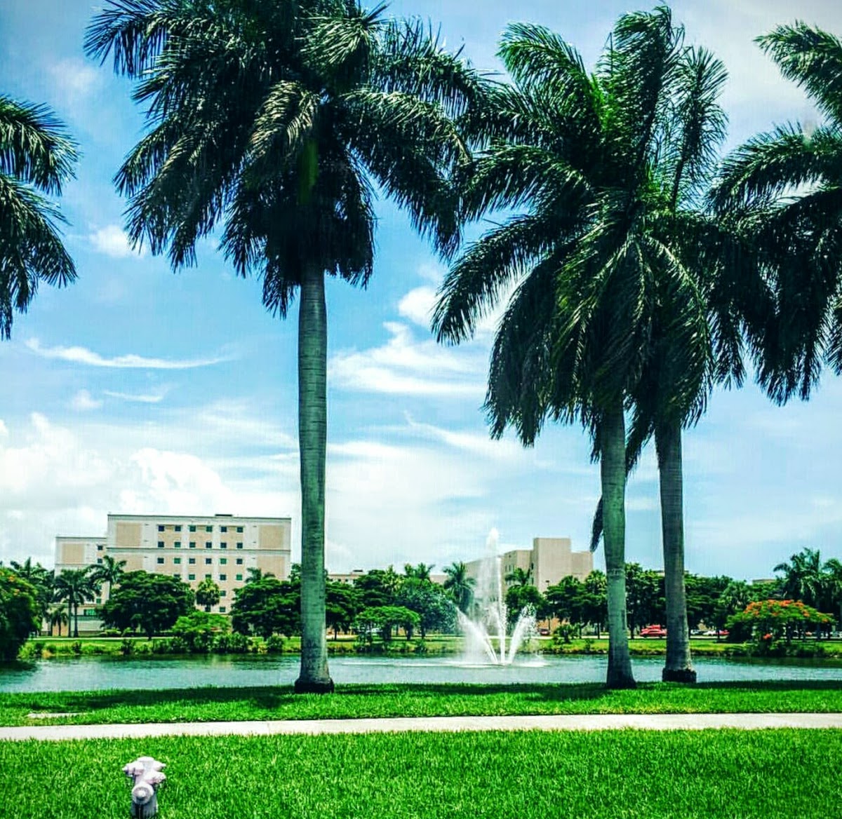 Florida Atlantic University photo 8
