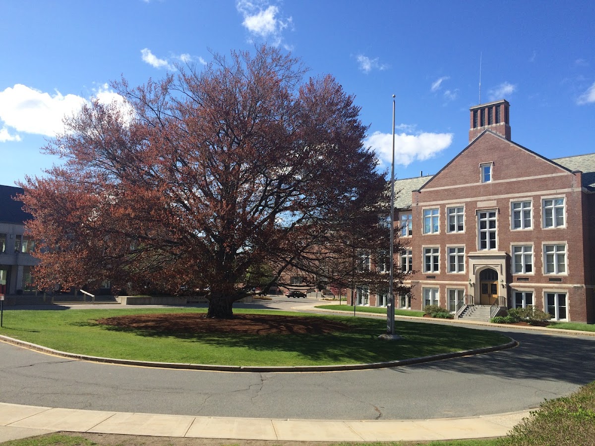 Worcester Polytechnic Institute photo 3