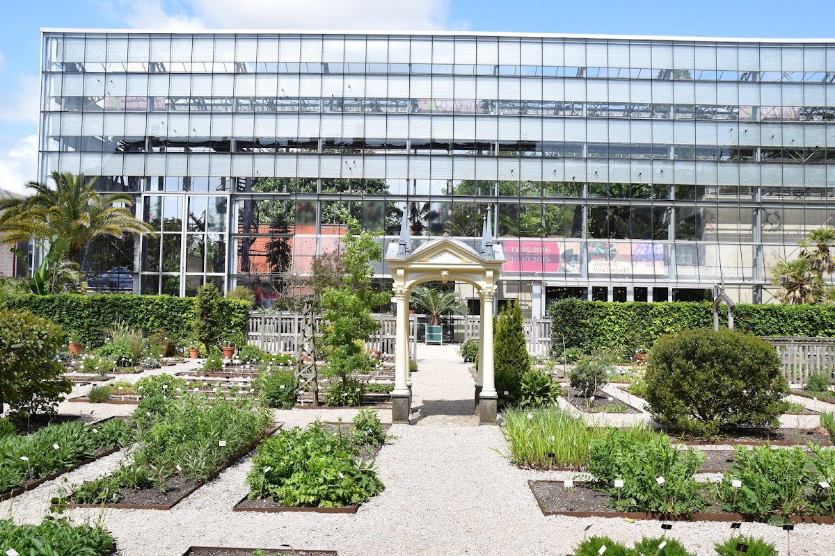 Leiden University photo 1