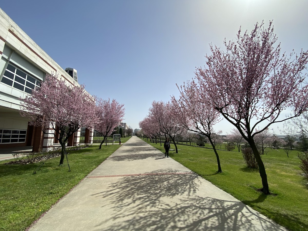 Sabancı University photo 5