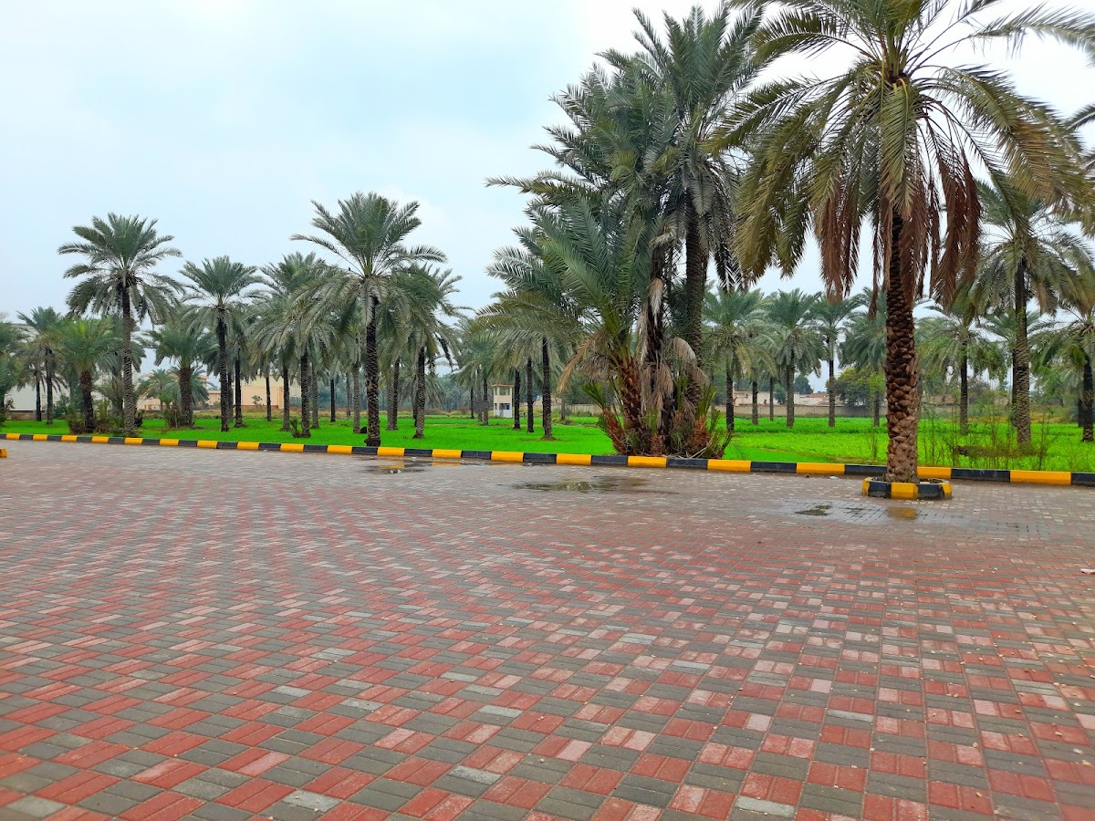 Shah Abdul Latif University photo 6