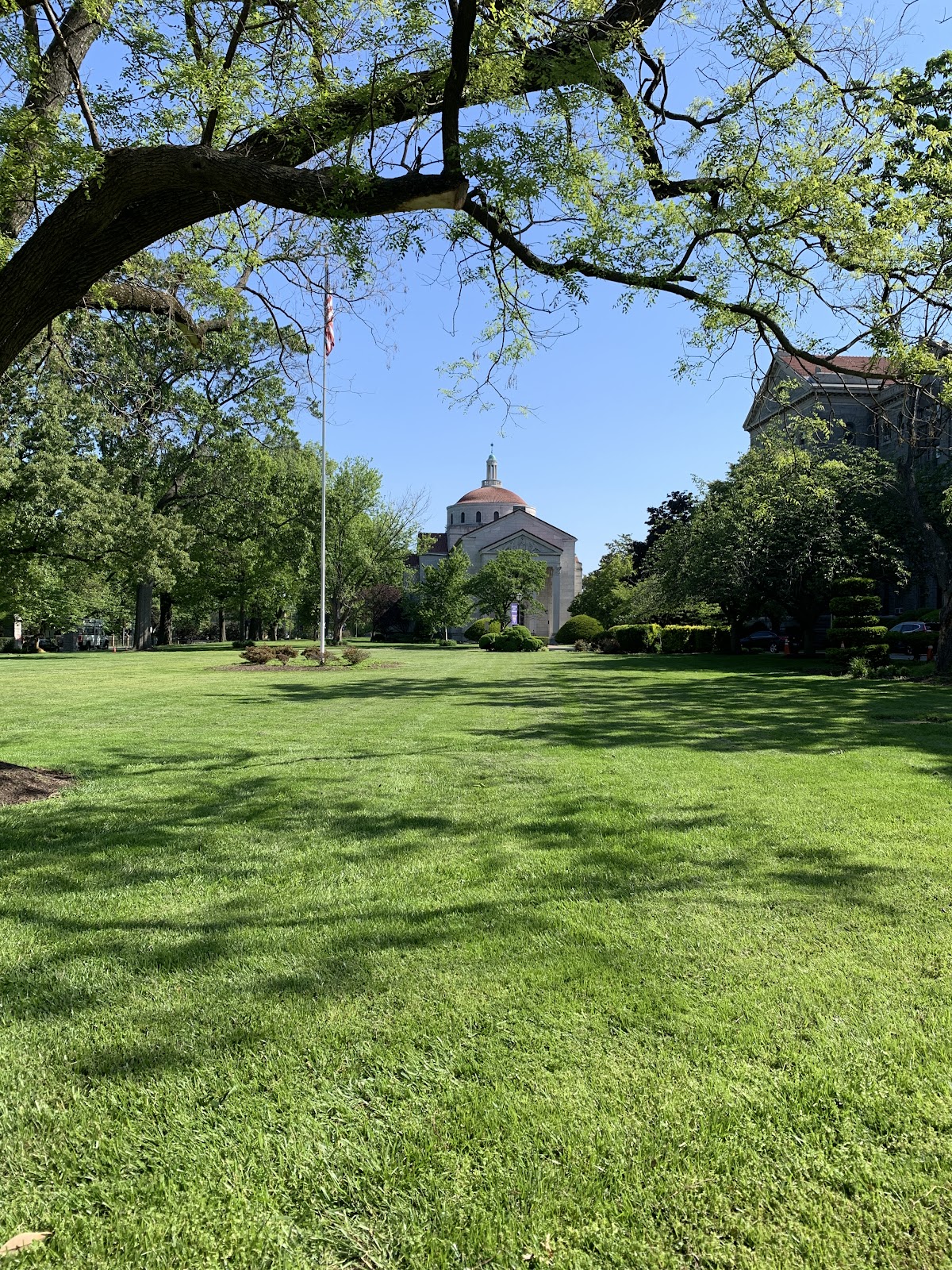 Trinity University photo 7
