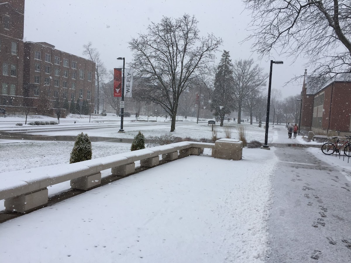 Ball State University photo 6