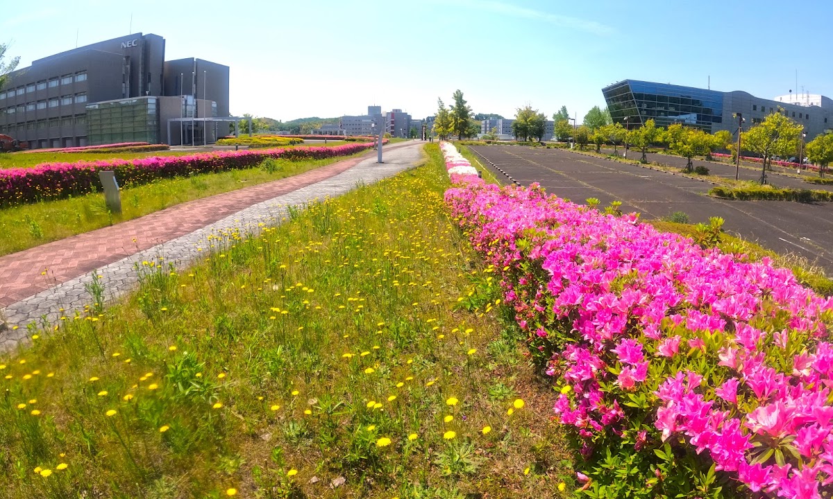Nara Institute of Science and Technology photo 2