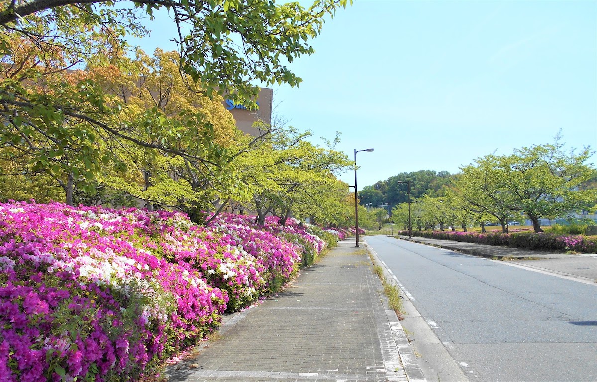 Nara Institute of Science and Technology photo 3