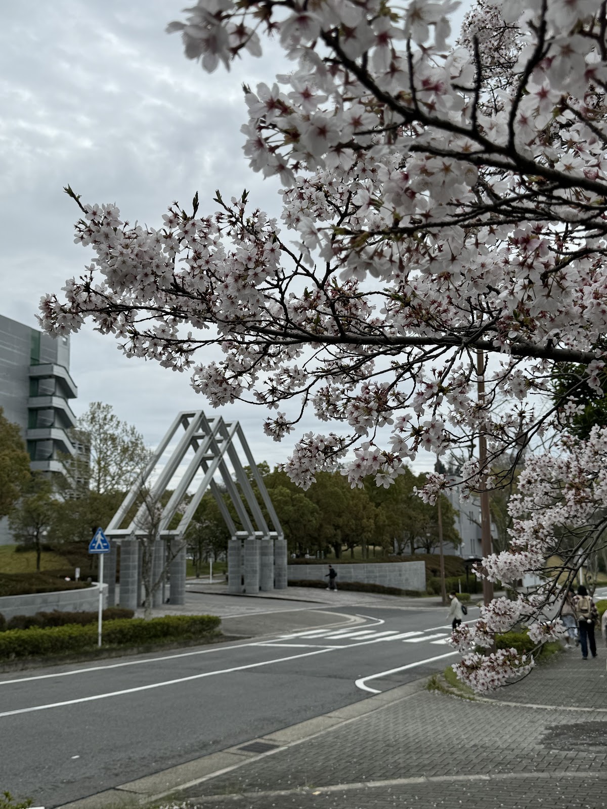 Nara Institute of Science and Technology photo 9