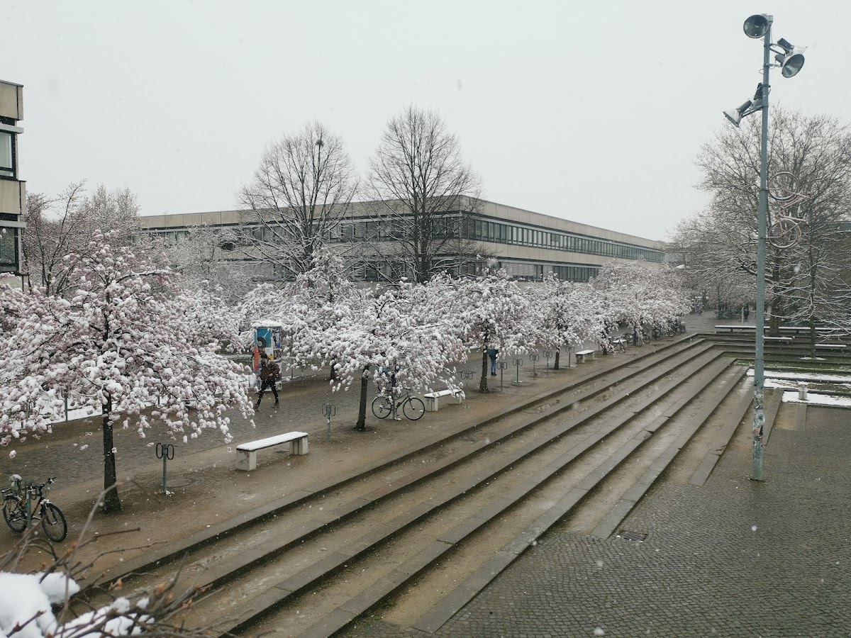 University of Göttingen photo 6