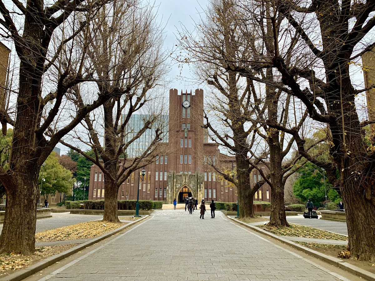 The University of Tokyo photo 2