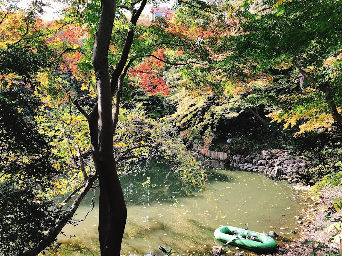 The University of Tokyo photo 7