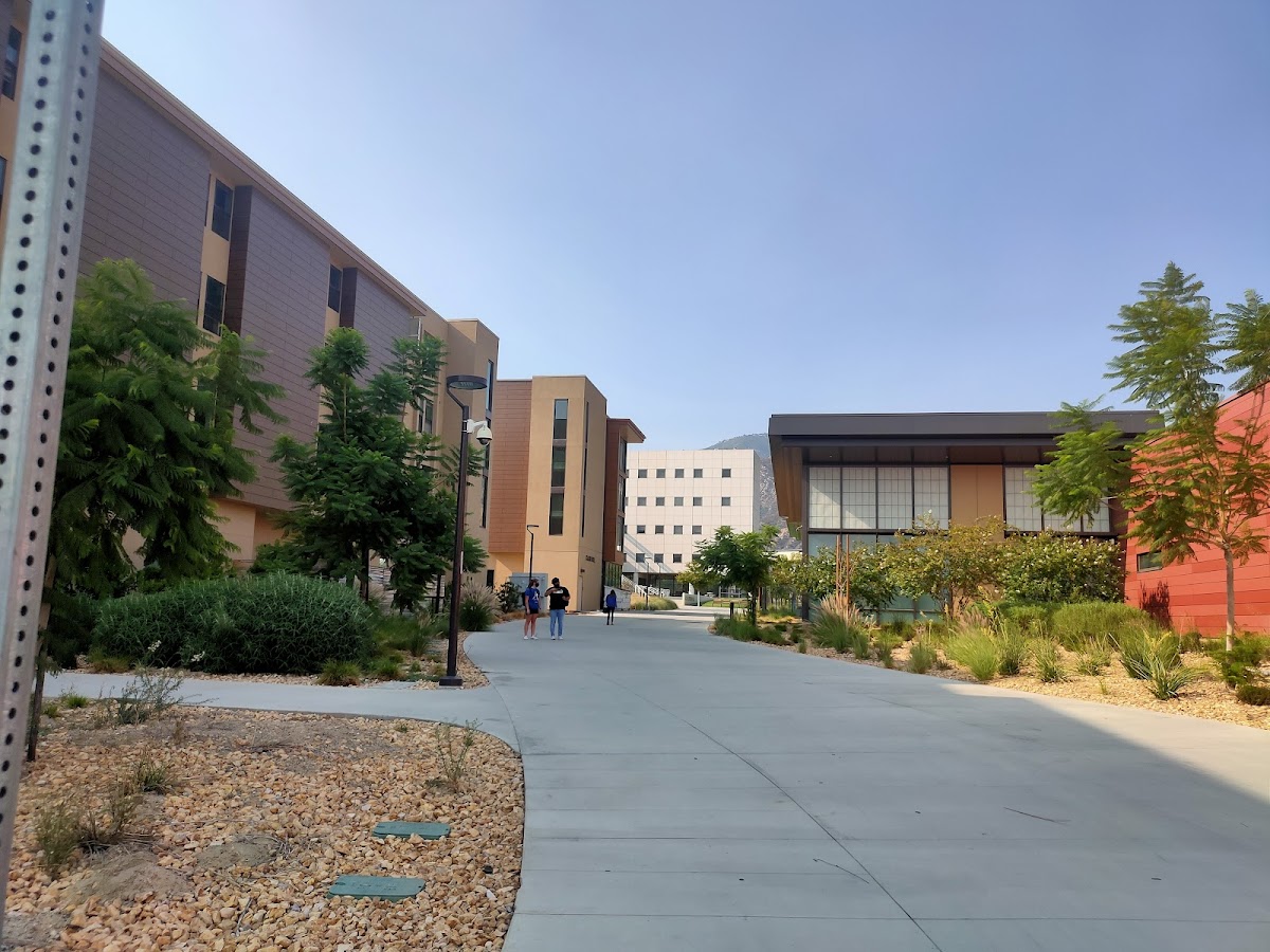 California State University San Bernardino photo 3