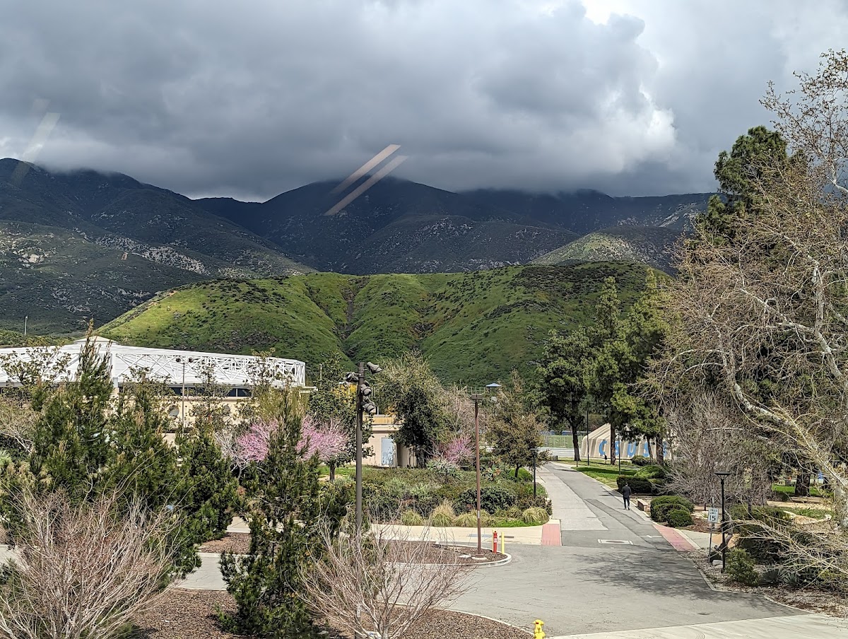 California State University San Bernardino photo 7