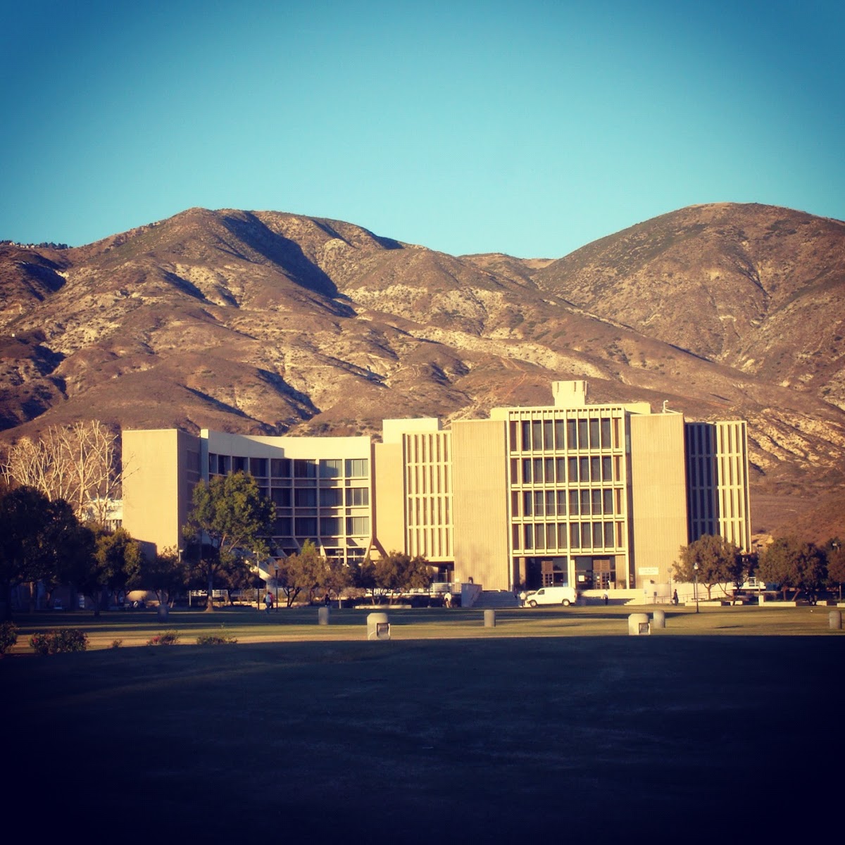 California State University San Bernardino photo 9