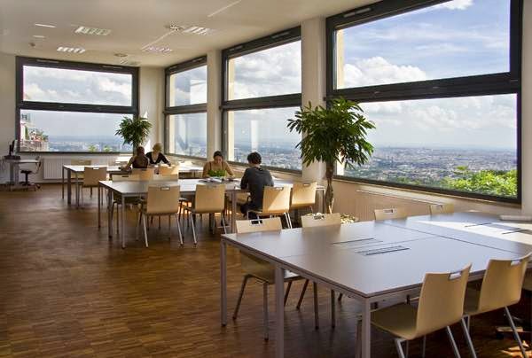 Modul University Vienna photo 6