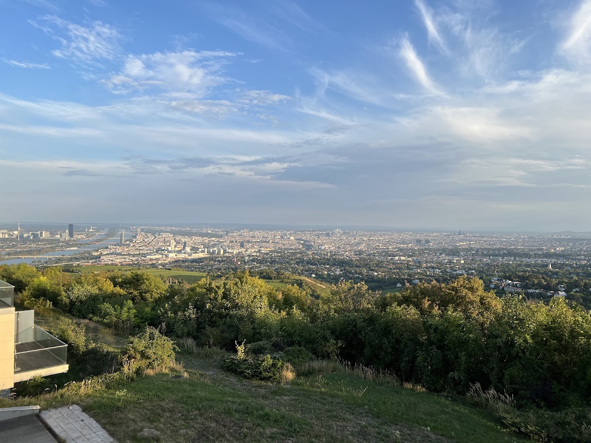 Modul University Vienna photo 8