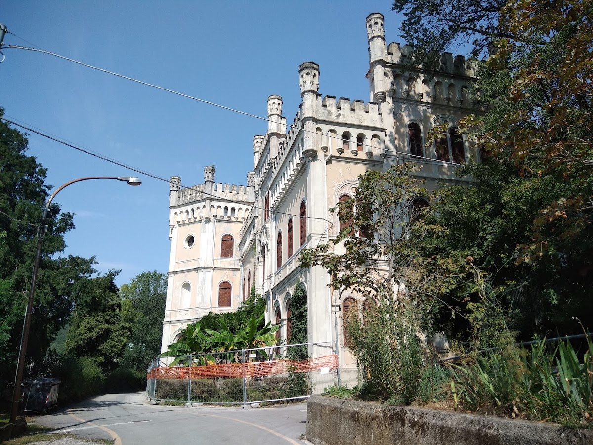 University of Trieste photo 1