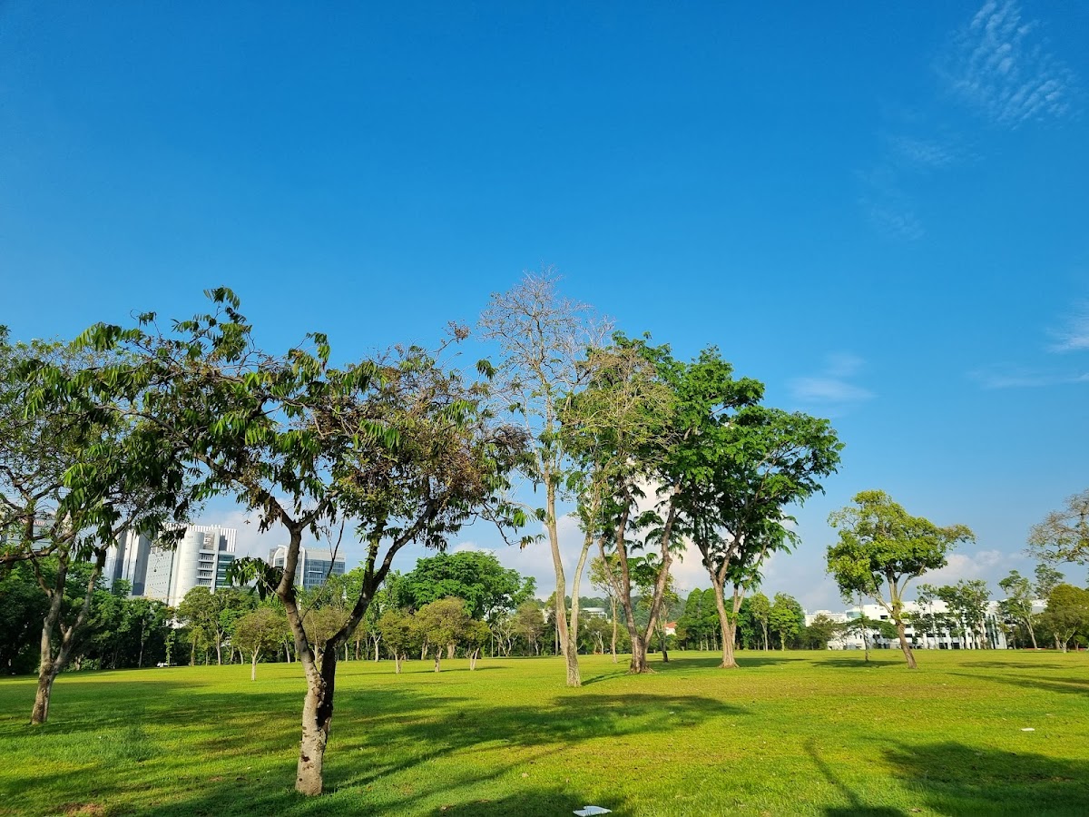 Singapore Institute of Technology (SIT) photo 6