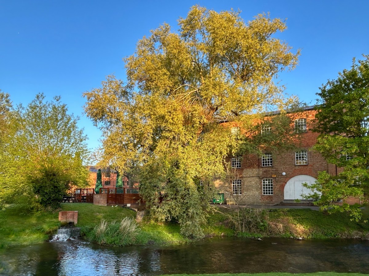 University of Buckingham photo 6