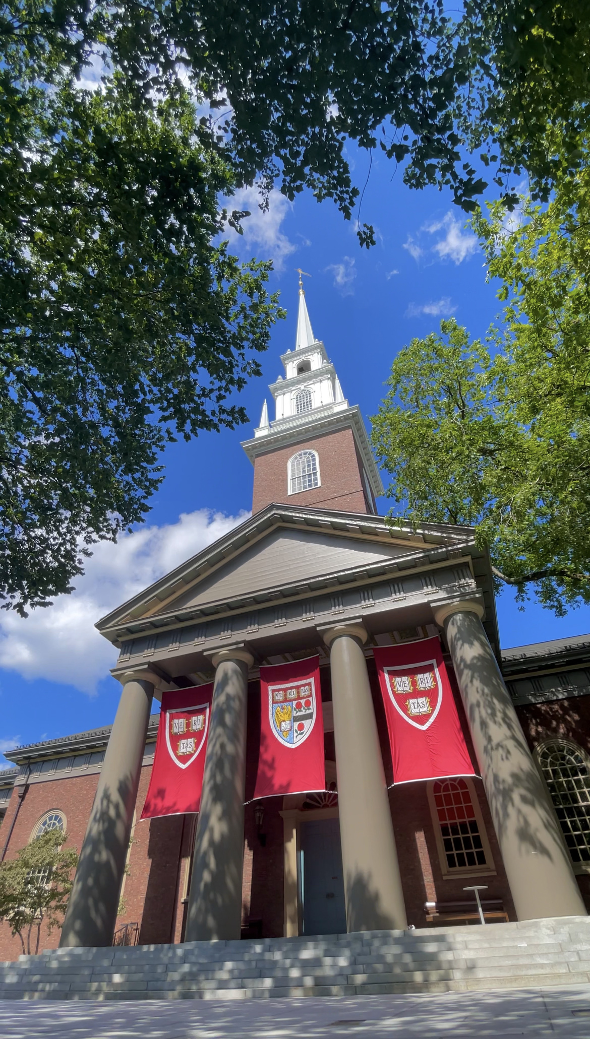 Harvard University photo 8