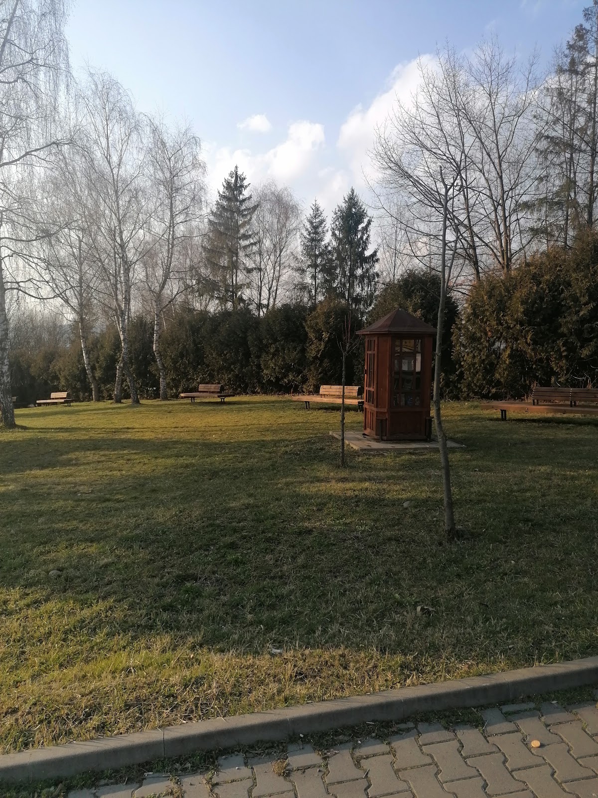 George Emil Palade University of Medicine, Pharmacy, Science, and Technology of Târgu Mureș photo 8