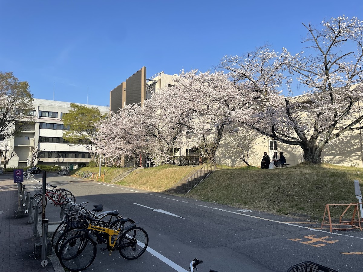 Nagoya University photo 9