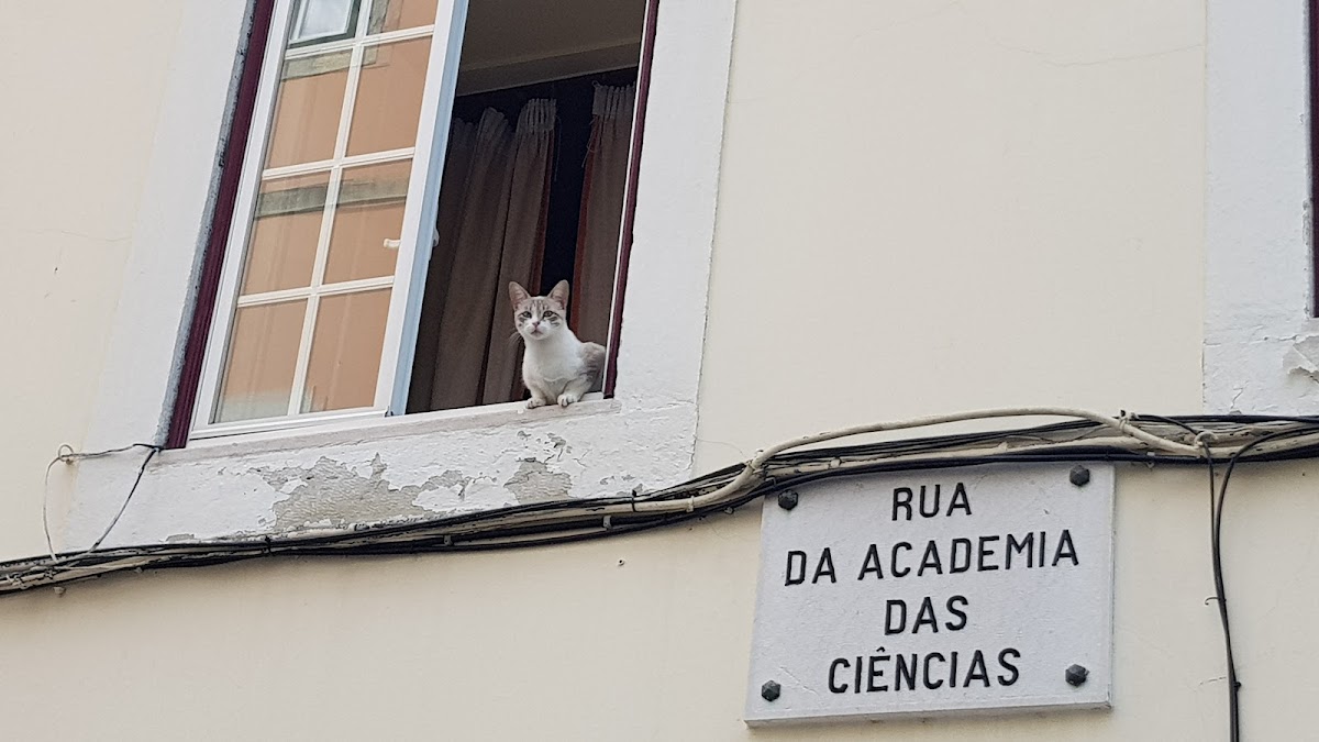 Escola Superior de Dança photo 1