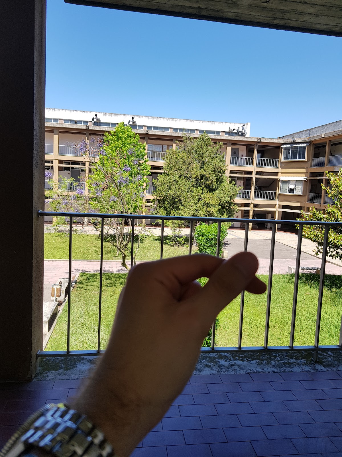 Escola Superior de Dança photo 8