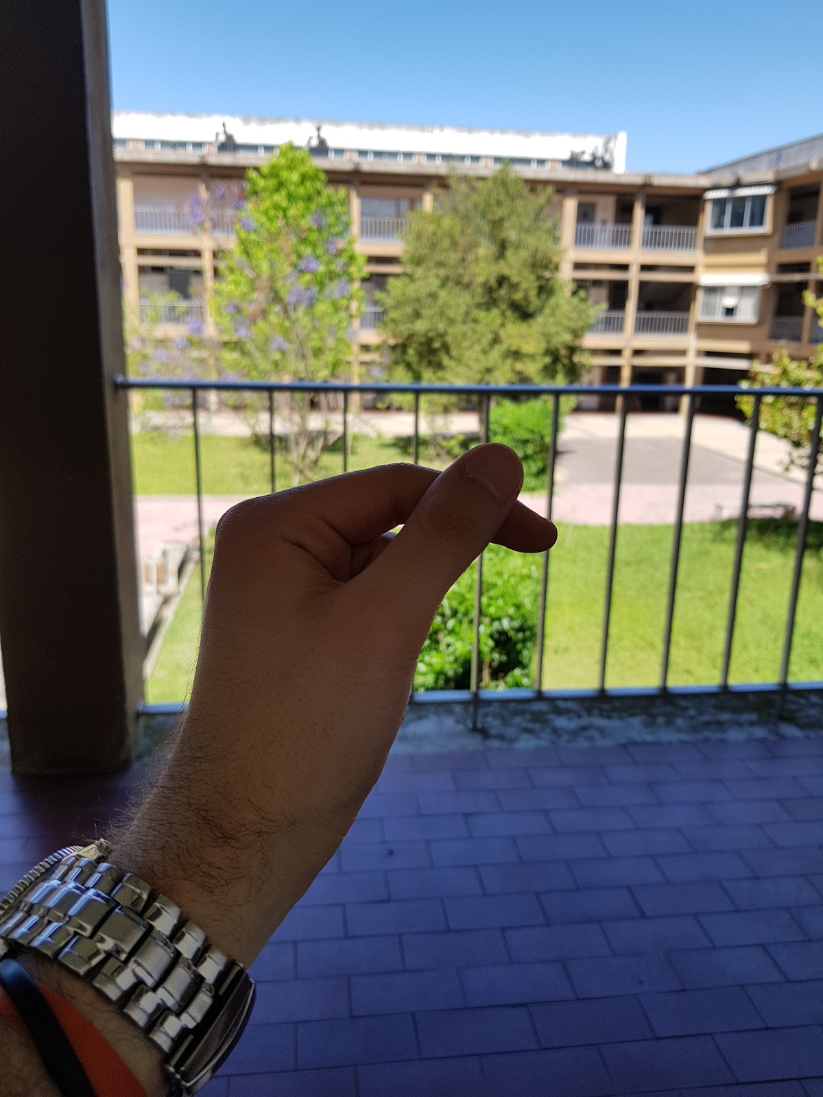 Escola Superior de Dança photo 9