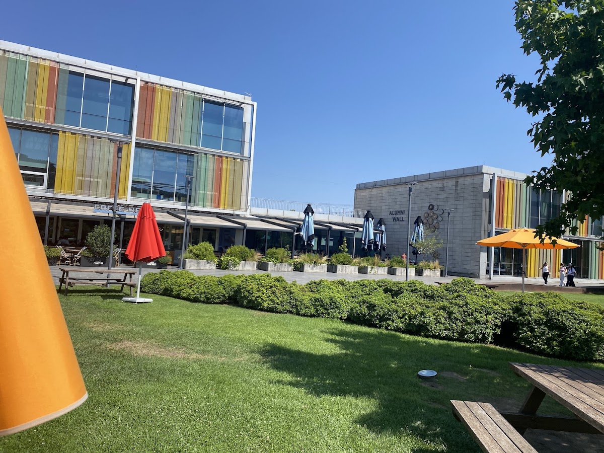 Özyeğin University photo 6