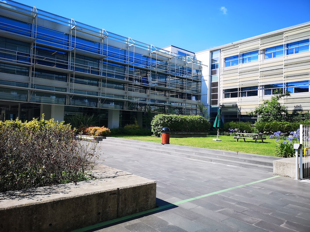 Özyeğin University photo 7