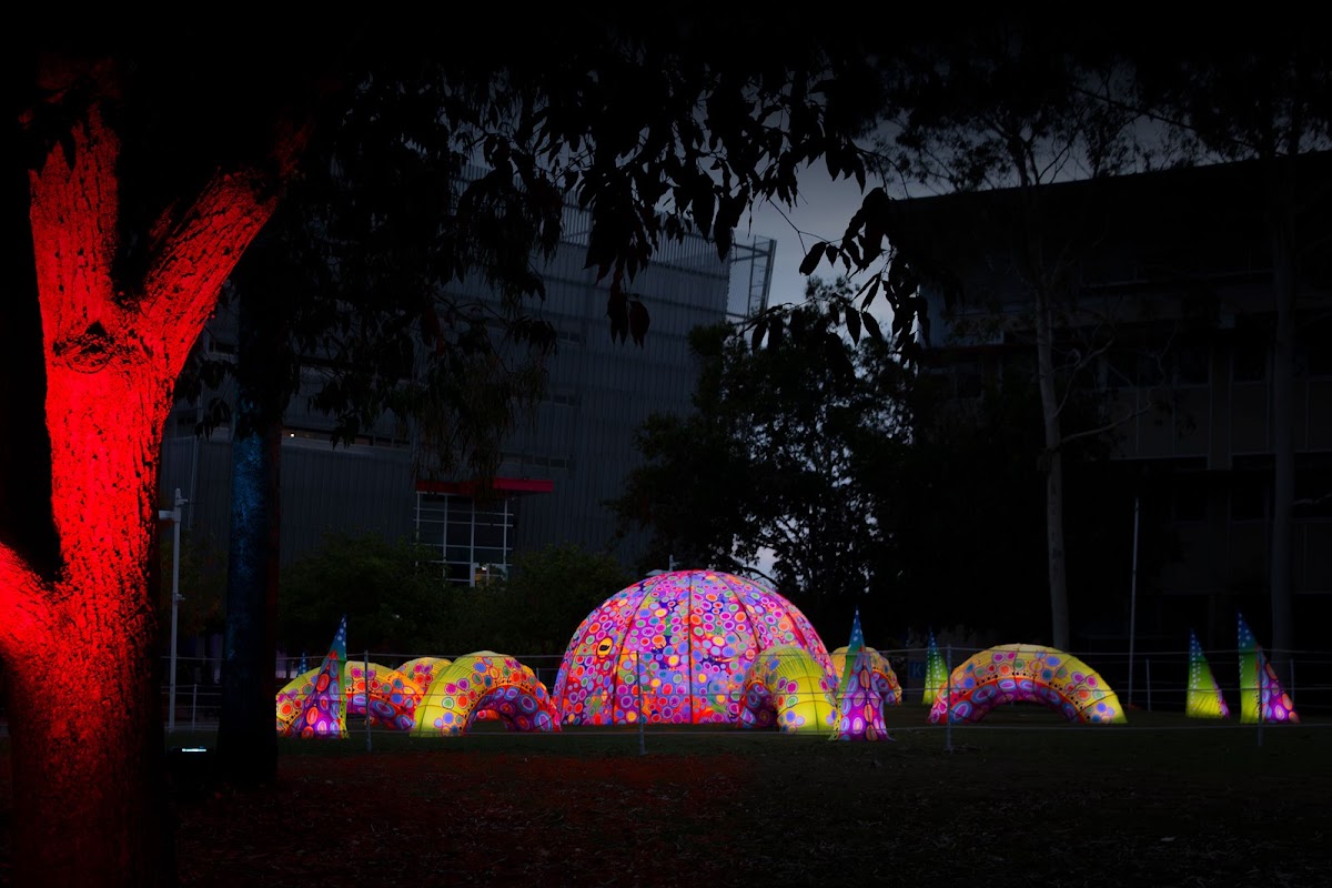 University of the Sunshine Coast photo 2