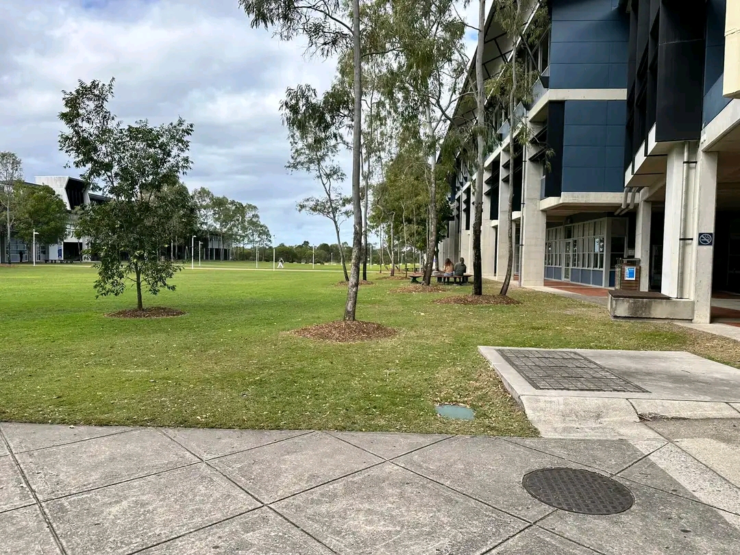 University of the Sunshine Coast photo 7