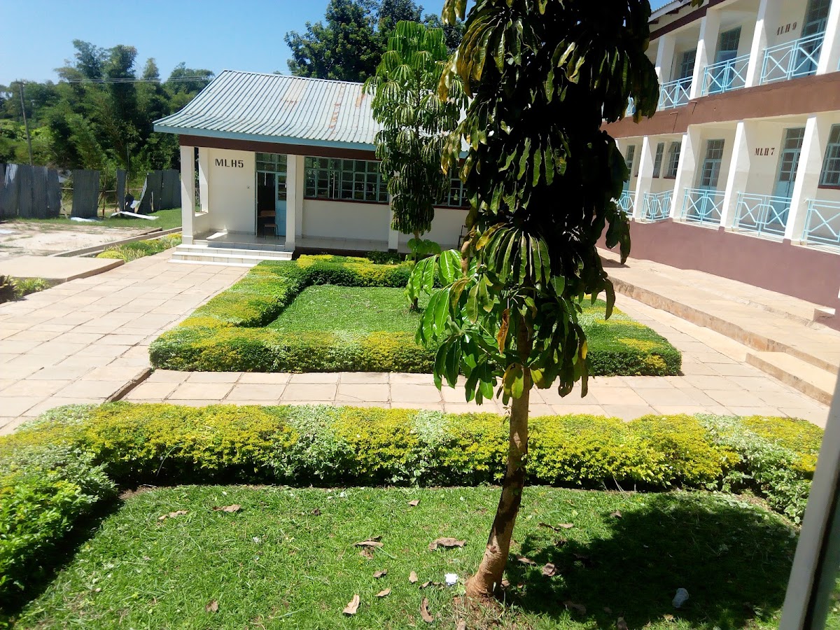 Maseno University photo 4
