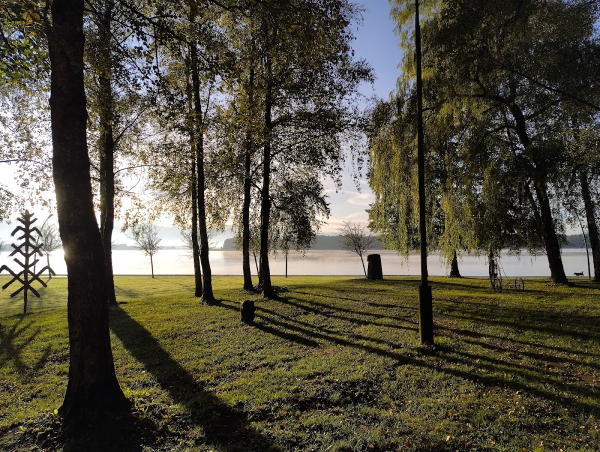 Telšiai Faculty of Vilnius College of Technologies and Design photo 4