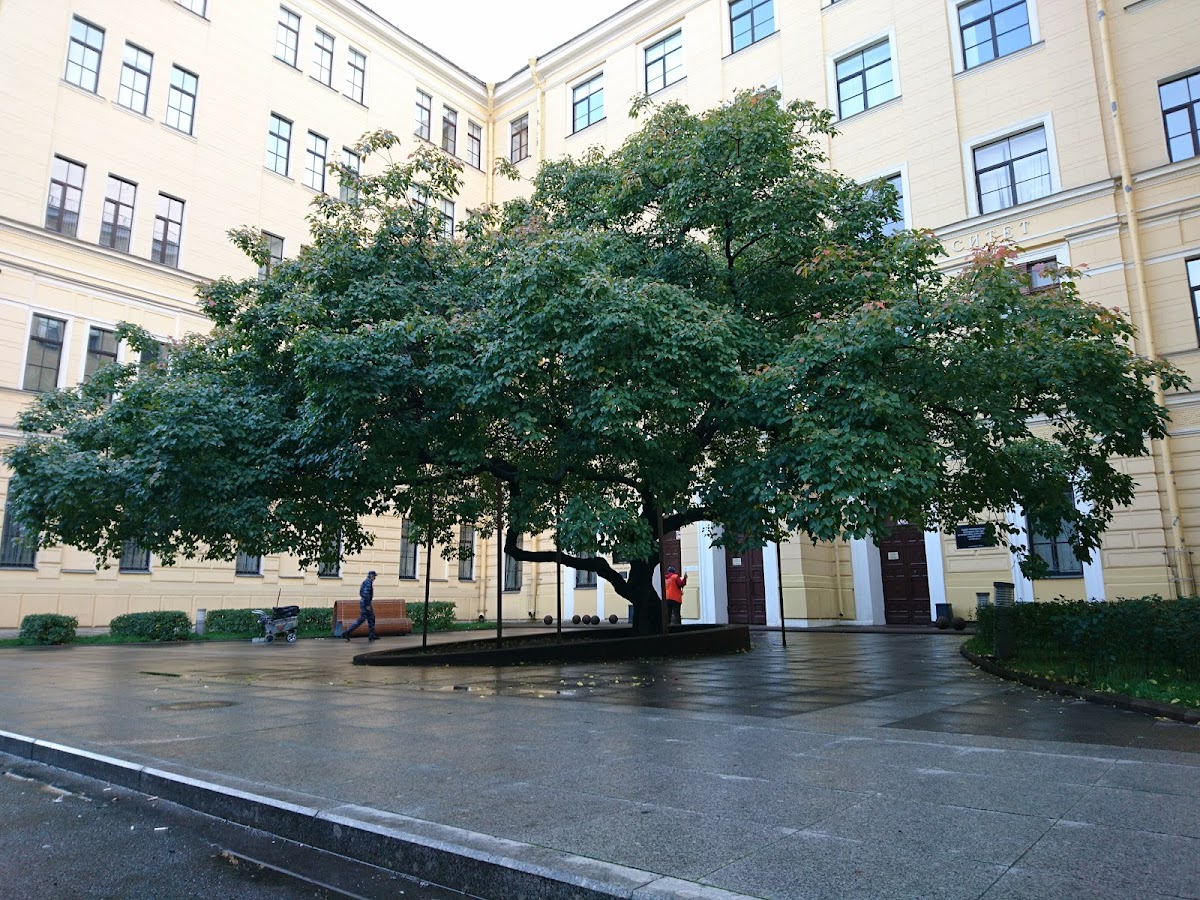 St. Petersburg State University of Architecture and Civil Engineering photo 5