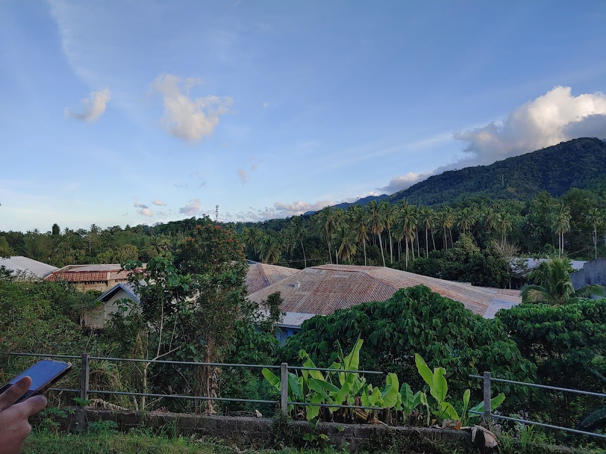 Visayas State University photo 6