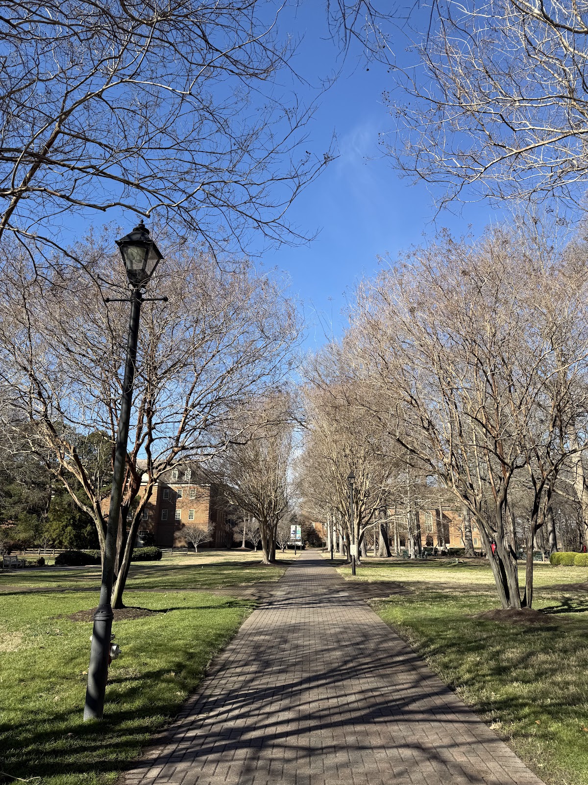 Regent University photo 9