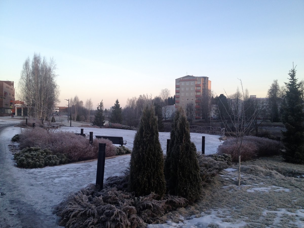 Seinäjoki University of Applied Sciences photo 7