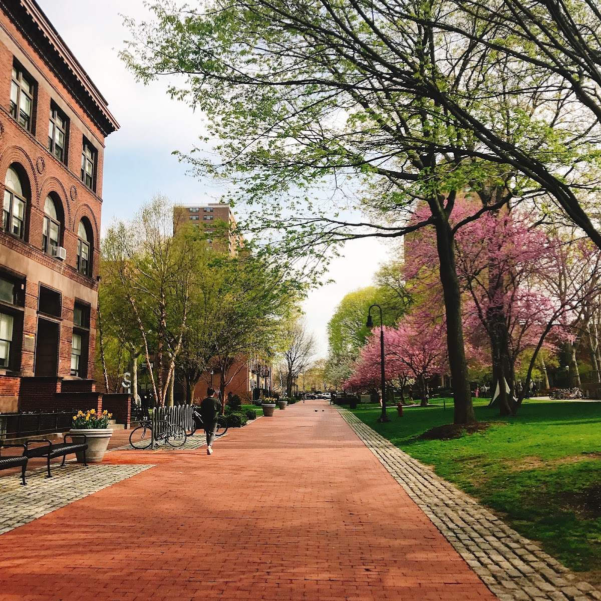 Pratt Institute photo 1