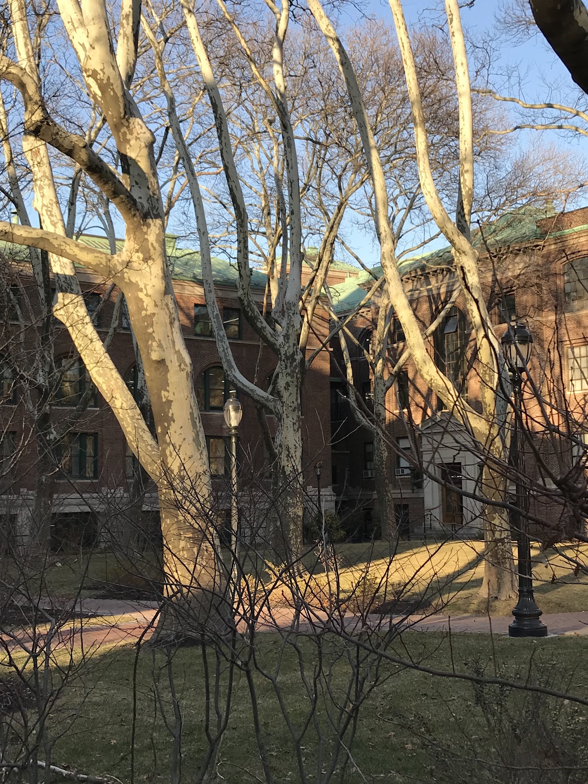 Pratt Institute photo 7