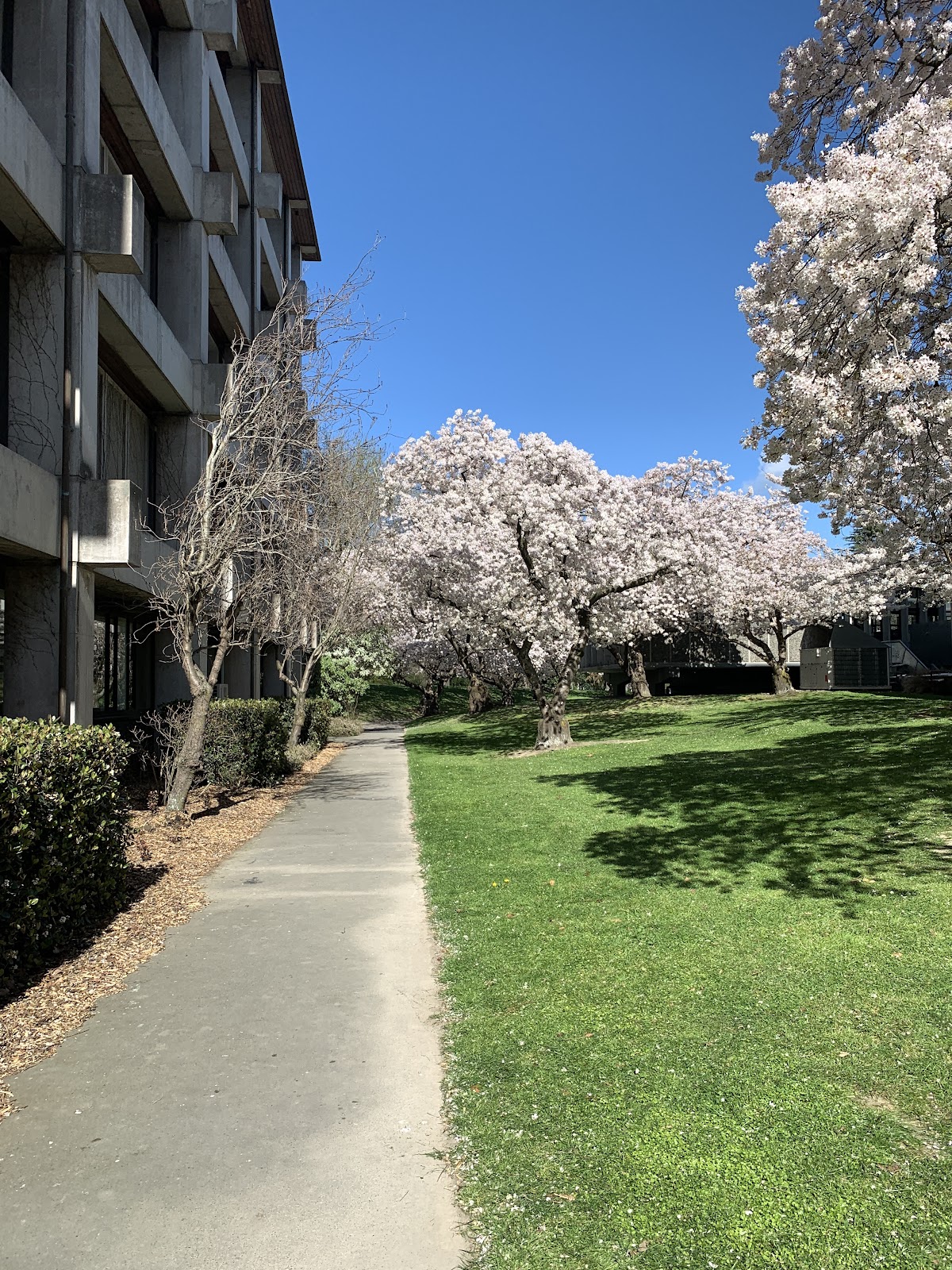 University of Canterbury photo 8