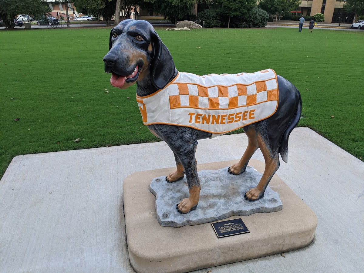 University of Tennessee Knoxville photo 6