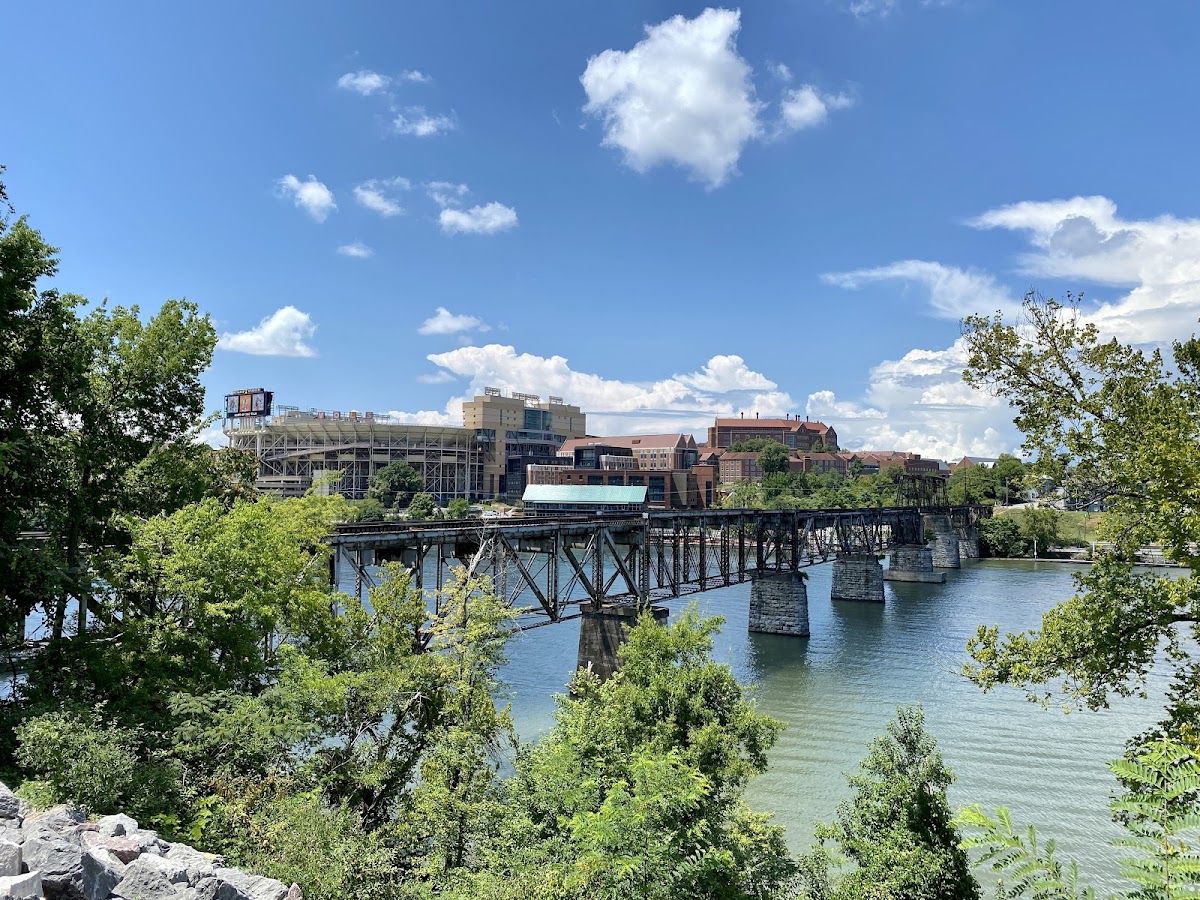 University of Tennessee Knoxville photo 8