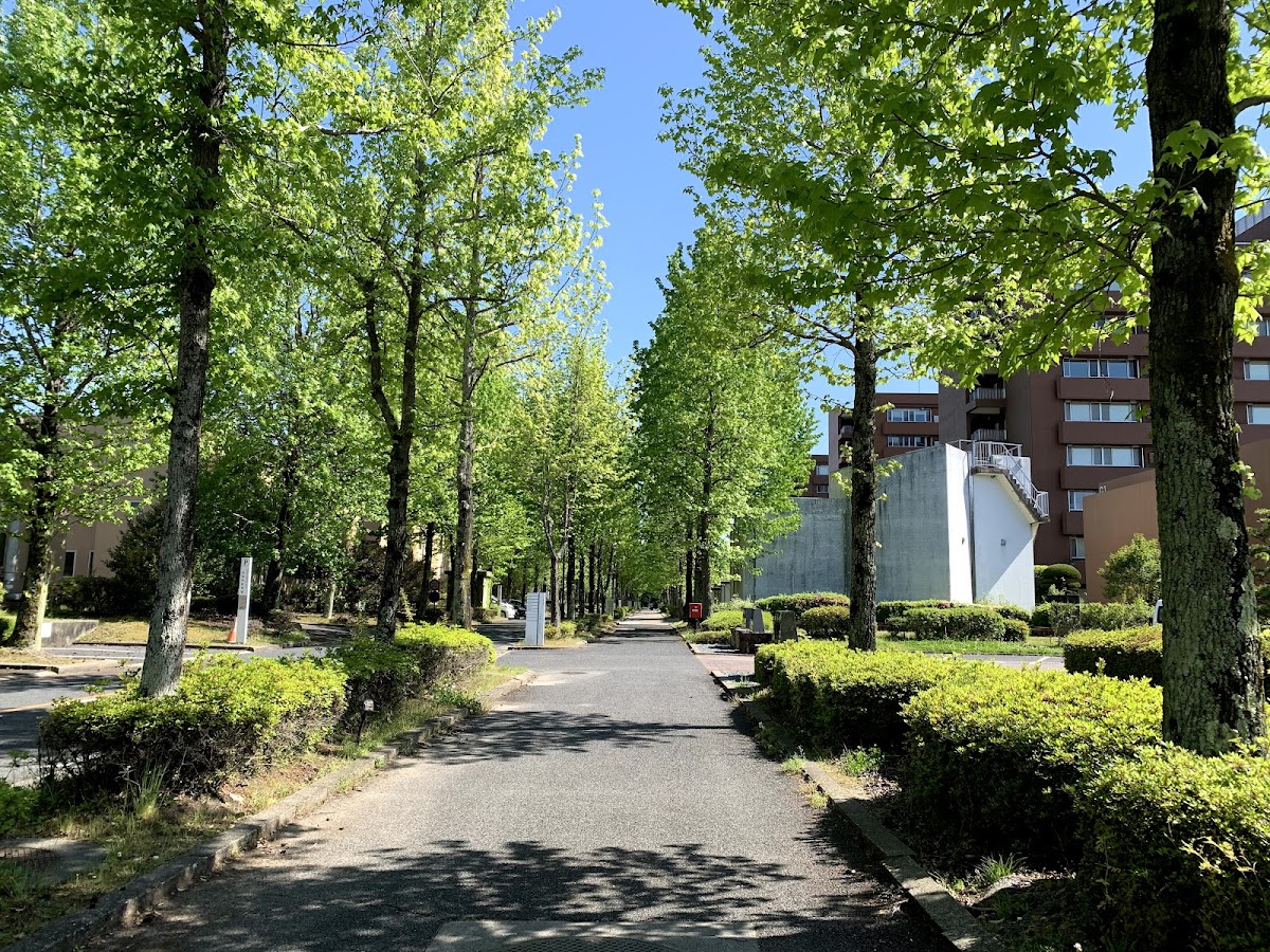 Hiroshima University photo 5