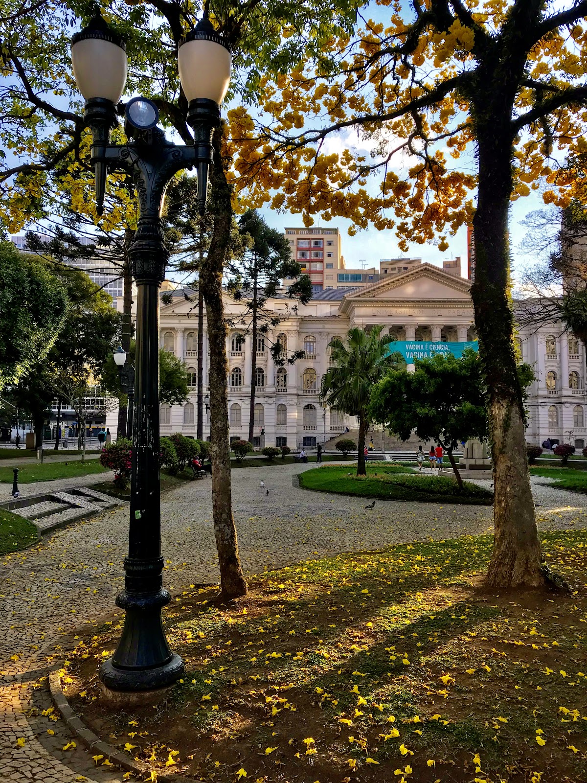 Federal University of Paraná photo 9