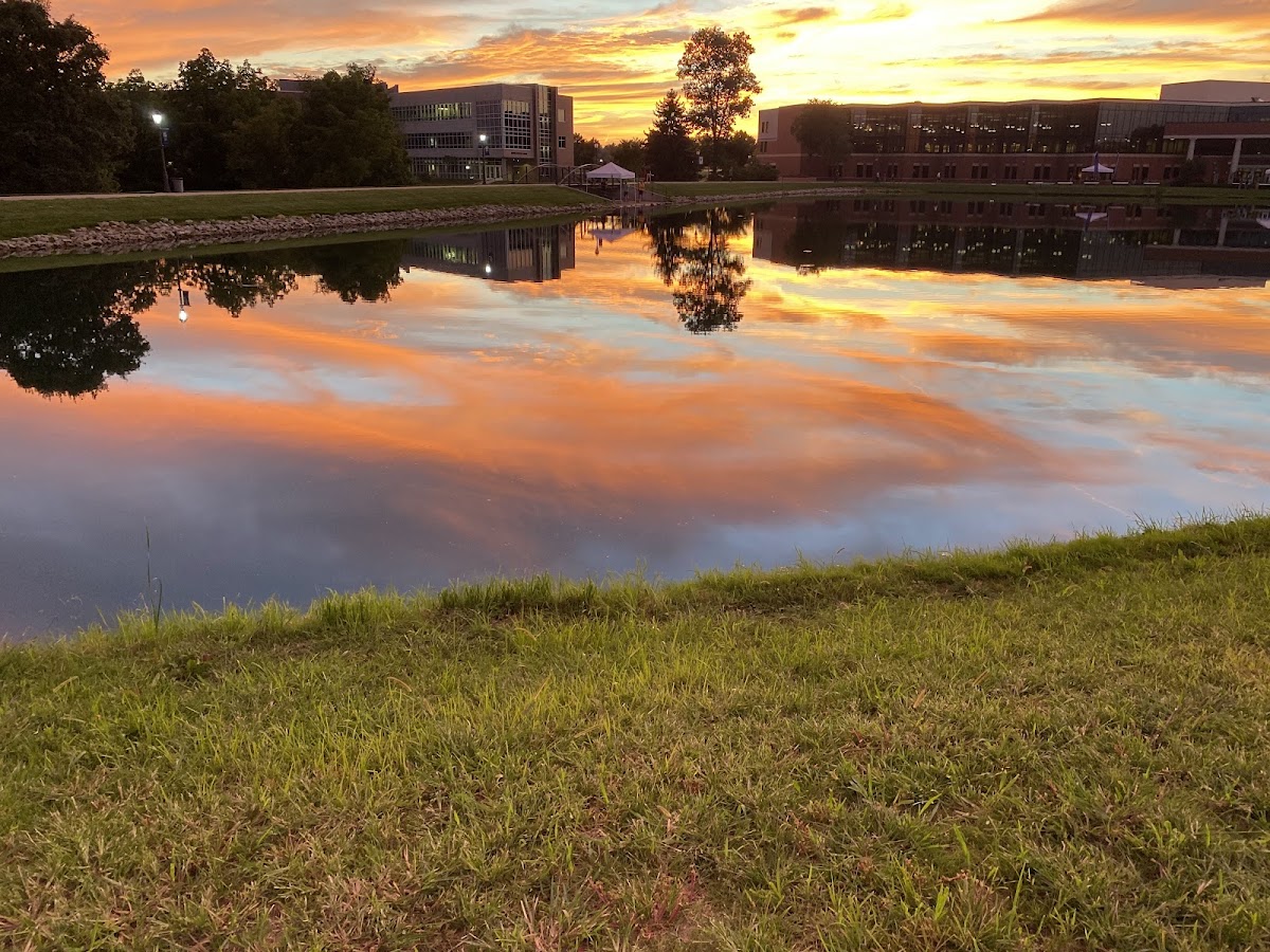 Cedarville University photo 5