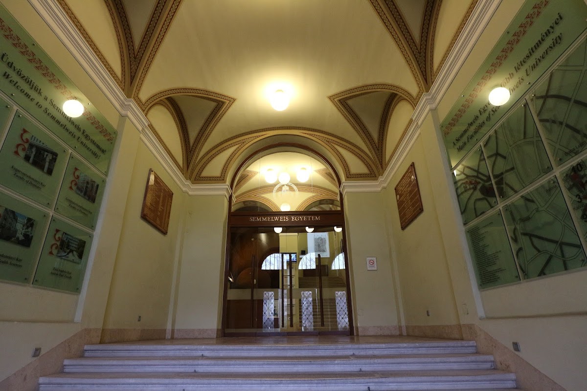 Semmelweis University photo 1