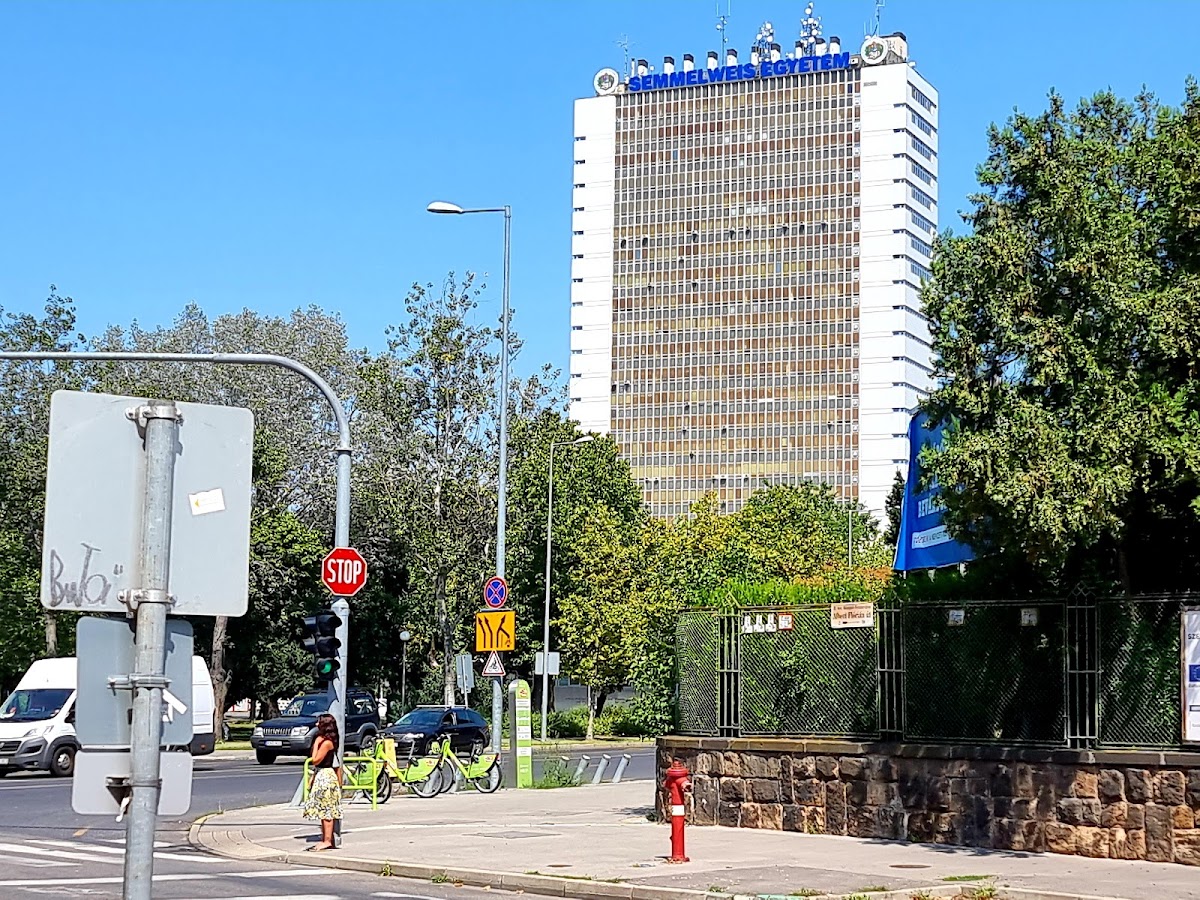 Semmelweis University photo 3
