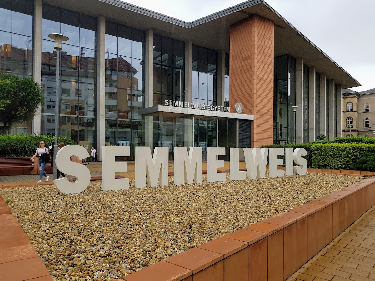 Semmelweis University photo 5