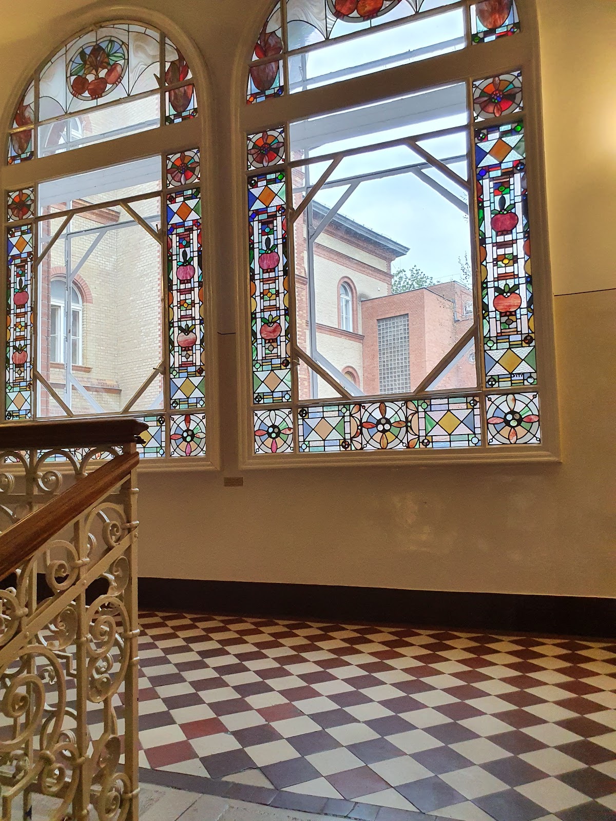 Semmelweis University photo 6